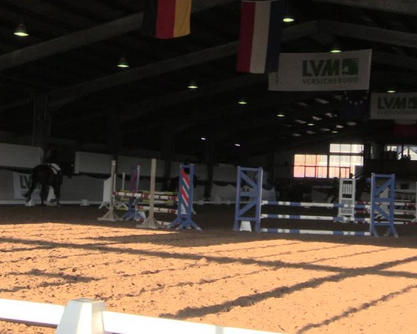 Reitturnier Münster-Albachten 2018