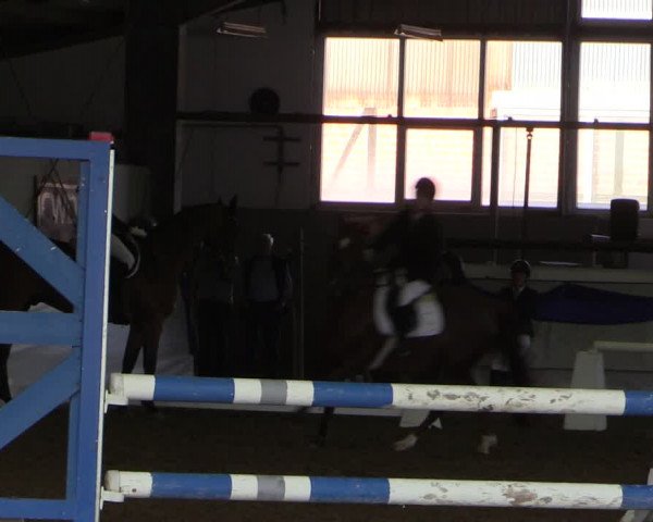 Reitturnier Münster-Albachten 2018