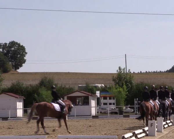 Reitturnier Menden 2018