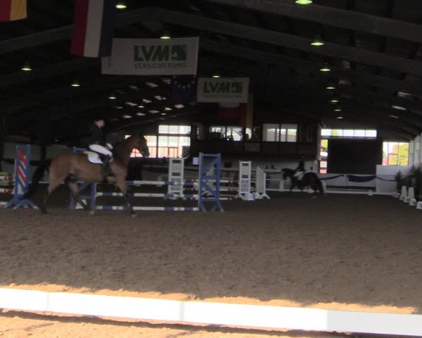 Reitturnier Münster-Albachten 2018
