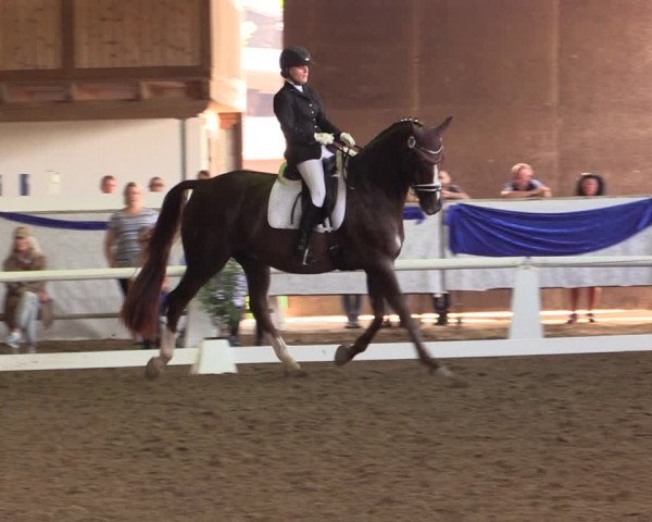Reitturnier Münster-Albachten 2018