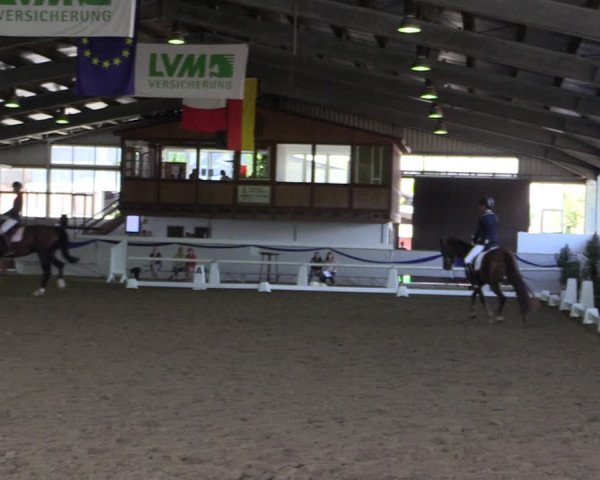 Reitturnier Münster-Albachten 2018