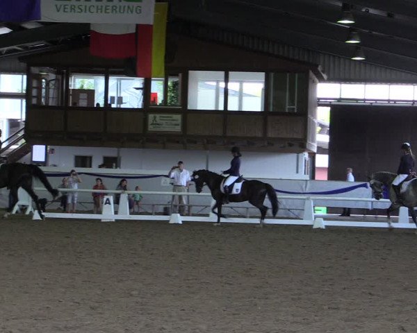 Reitturnier Münster-Albachten 2018