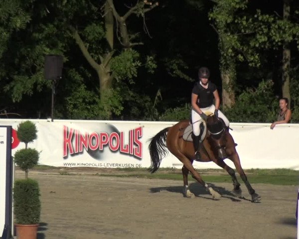 Bergisch Classics - Hebborner Hof 2018