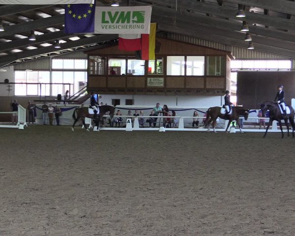Reitturnier Münster-Albachten 2018