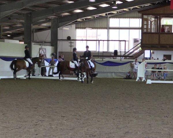 Reitturnier Münster-Albachten 2018