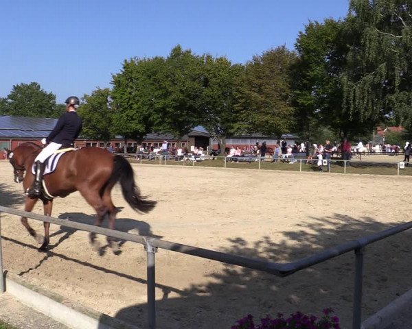 Reitturnier Ascheberg 2021
