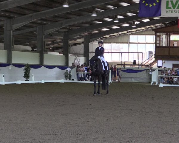 Reitturnier Münster-Albachten 2018