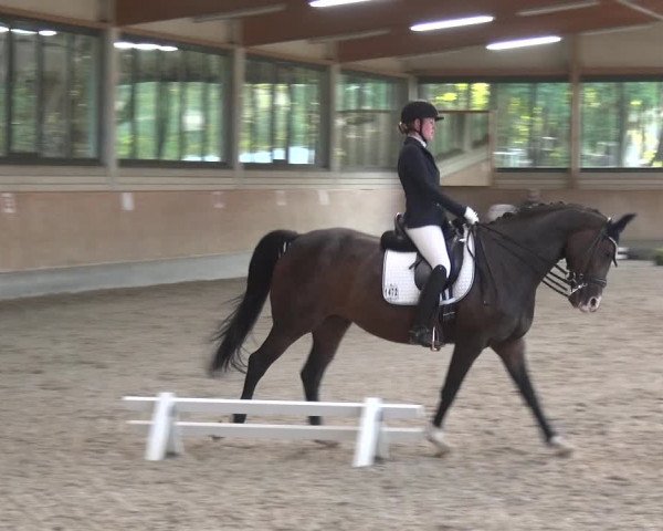 Bergisch Classics - Hebborner Hof 2018