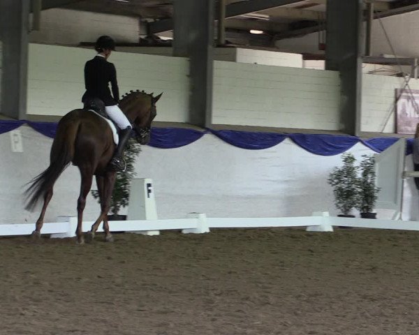 Reitturnier Münster-Albachten 2018