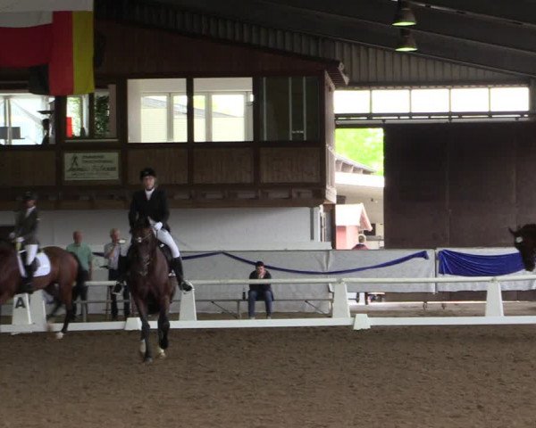 Reitturnier Münster-Albachten 2018