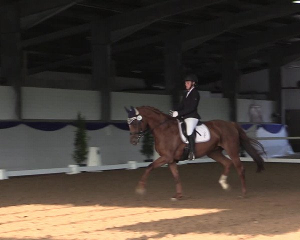 Reitturnier Münster-Albachten 2018