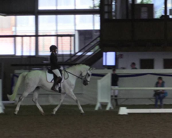 Reitturnier Münster-Albachten 2018