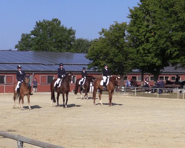 Reitturnier Ascheberg 2021