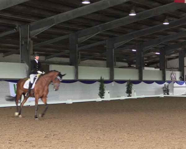 Reitturnier Münster-Albachten 2018