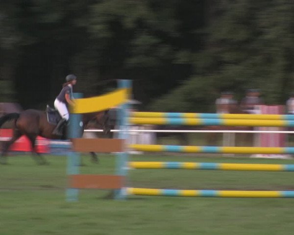 Reitturnier Wulkow 2018
