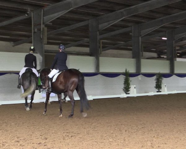 Reitturnier Münster-Albachten 2018