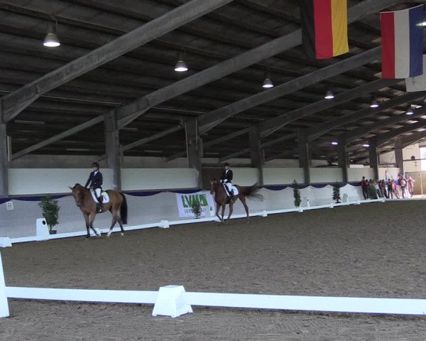 Reitturnier Münster-Albachten 2018