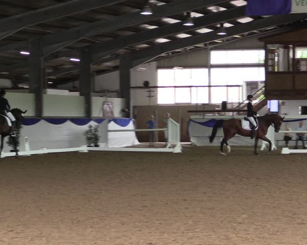 Reitturnier Münster-Albachten 2018