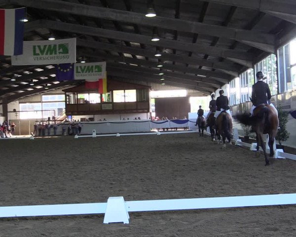 Reitturnier Münster-Albachten 2018