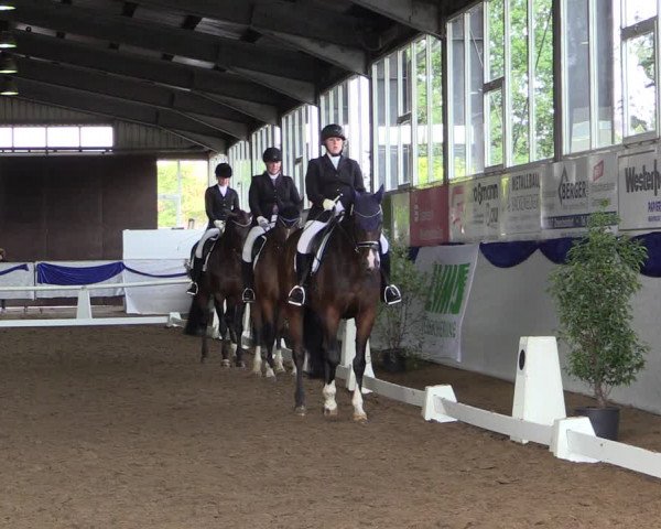 Reitturnier Münster-Albachten 2018
