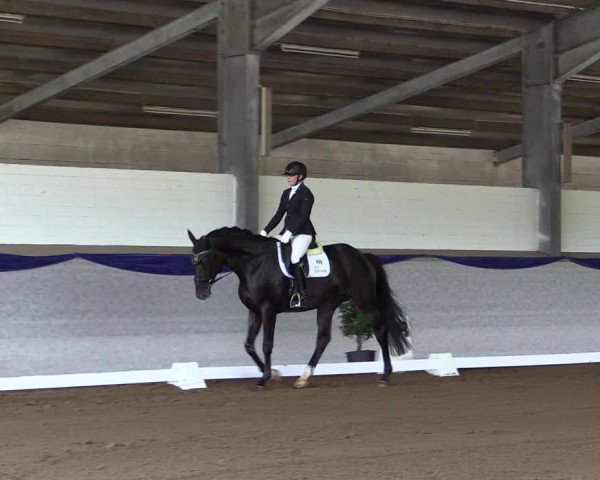 Reitturnier Münster-Albachten 2018