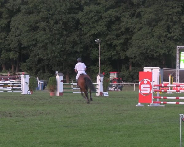 Reitturnier Wulkow 2018