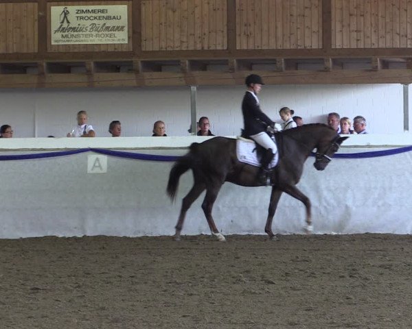 Reitturnier Münster-Albachten 2018