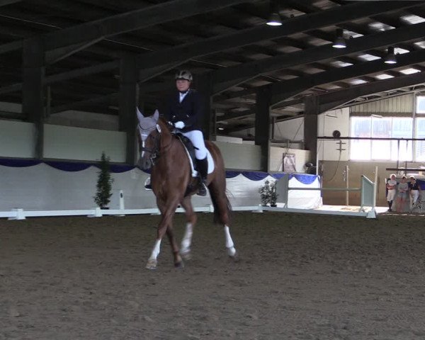 Reitturnier Münster-Albachten 2018