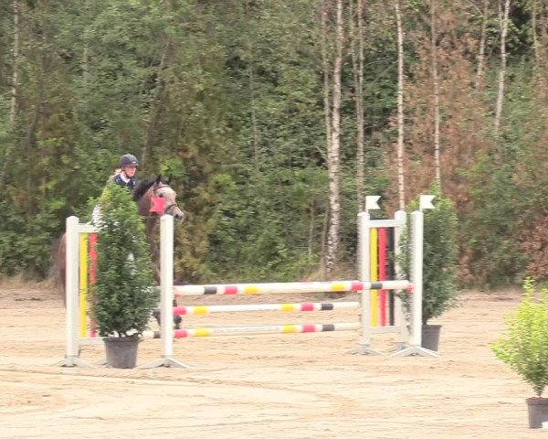 Reitturnier Datteln 2018