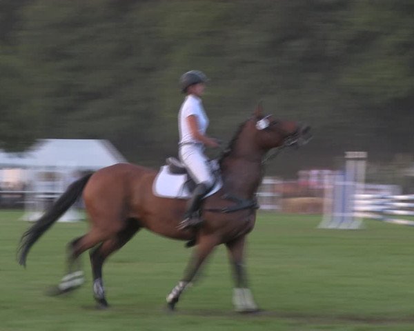 Reitturnier Wulkow 2018