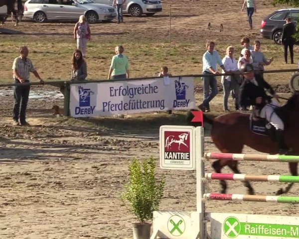 Reitturnier Datteln 2018