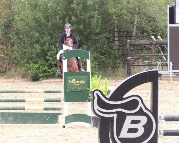 Reitturnier Datteln 2018