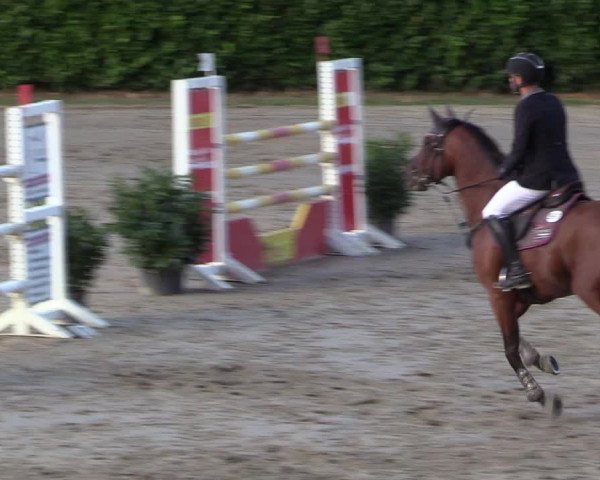 Reitturnier Datteln 2018