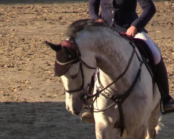 Reitturnier Datteln 2018