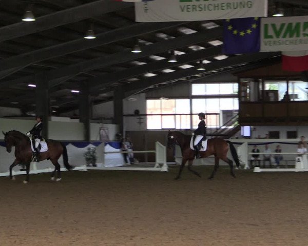 Reitturnier Münster-Albachten 2018