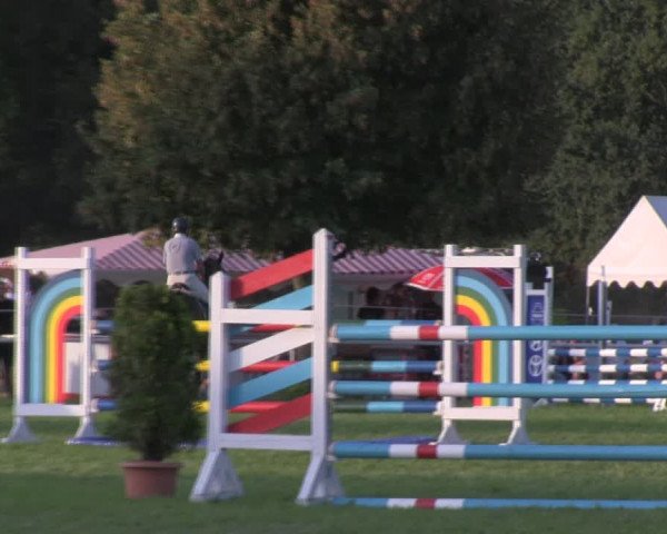 Reitturnier Wulkow 2018