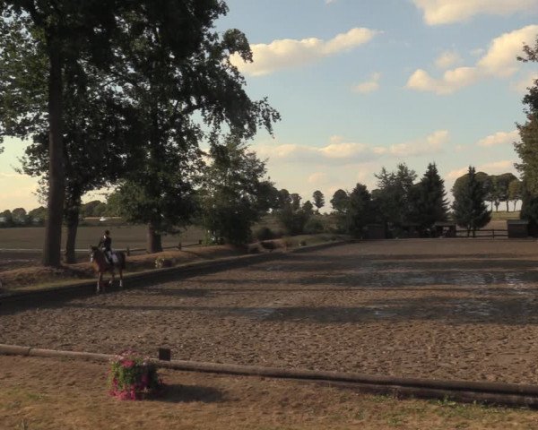 Reitturnier Datteln 2018