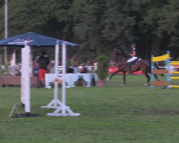 Reitturnier Wulkow 2018