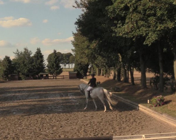 Reitturnier Datteln 2018