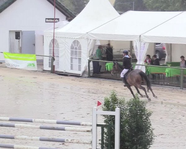 Reitturnier Datteln 2018