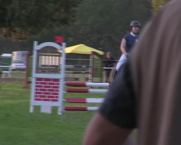 Reitturnier Wulkow 2018