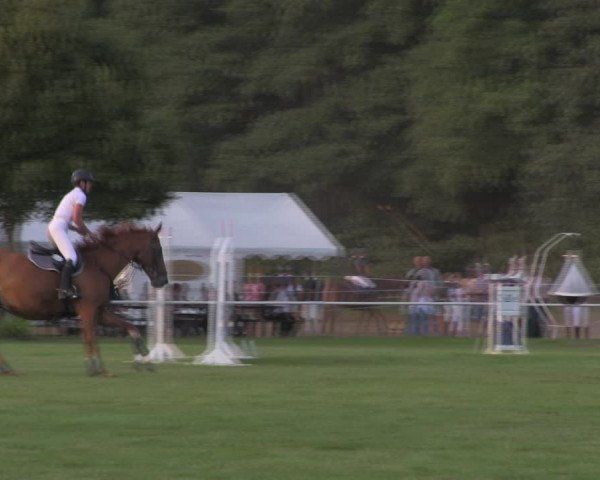 Reitturnier Wulkow 2018
