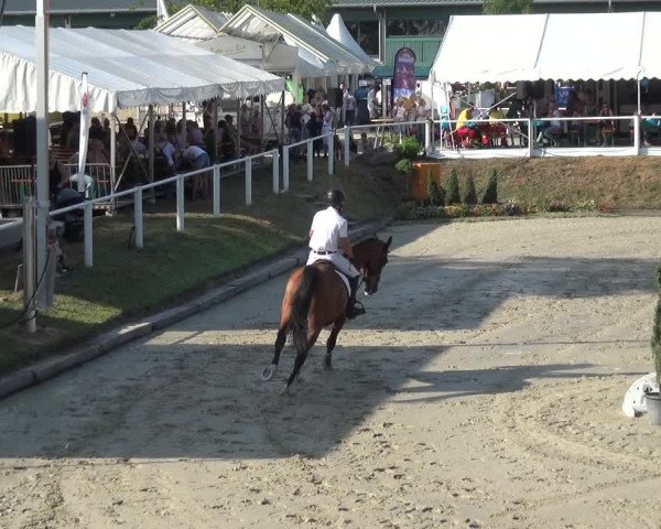 Bergisch Classics - Hebborner Hof 2018