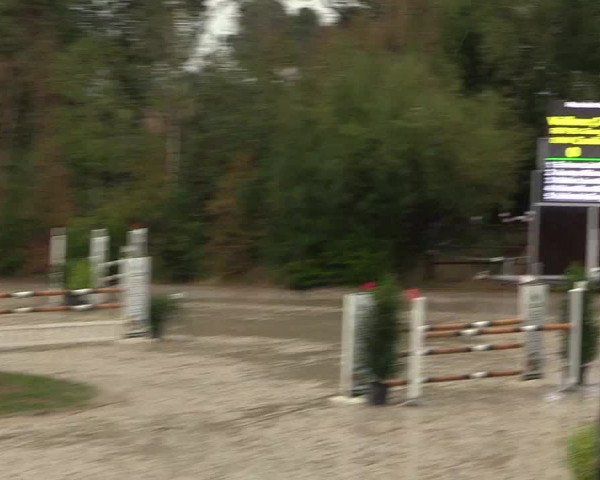 Reitturnier Datteln 2018