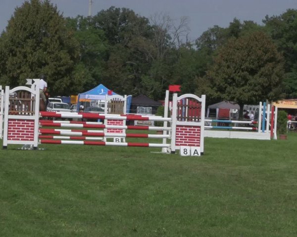 Reitturnier Wulkow 2018