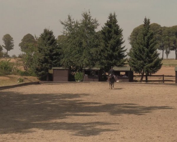 Reitturnier Datteln 2018