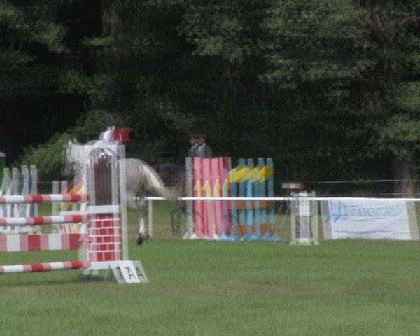 Reitturnier Wulkow 2018