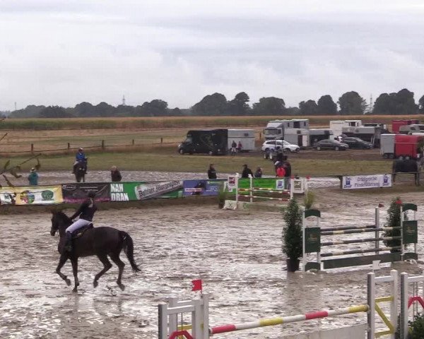 Reitturnier Datteln 2018