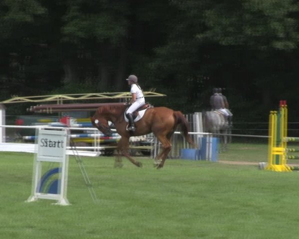 Reitturnier Wulkow 2018
